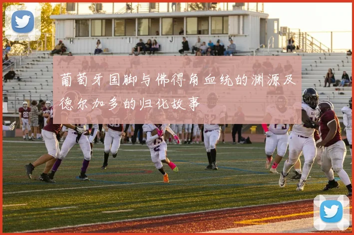 葡萄牙国脚与佛得角血统的渊源及德尔加多的归化故事